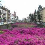 Madeira_2008_230_320_240