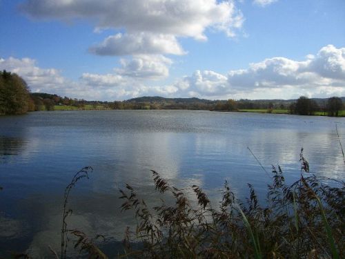 Grosser HAmmerweiher bei Wiesenfelden