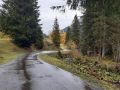 20241015_Beatenberg_GrScheidegg_022_web50