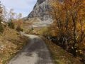 20241015_Beatenberg_GrScheidegg_041_web50